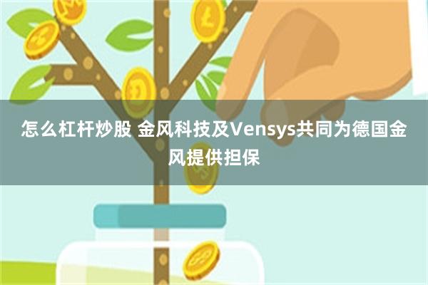 怎么杠杆炒股 金风科技及Vensys共同为德国金风提供担保