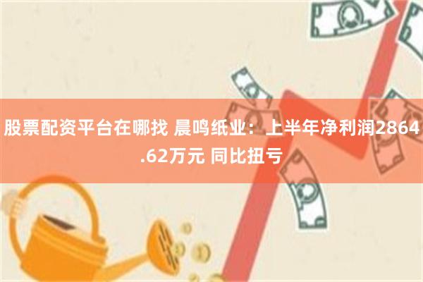 股票配资平台在哪找 晨鸣纸业：上半年净利润2864.62万元 同比扭亏