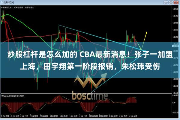 炒股杠杆是怎么加的 CBA最新消息！张子一加盟上海，田宇翔第一阶段报销，朱松玮受伤