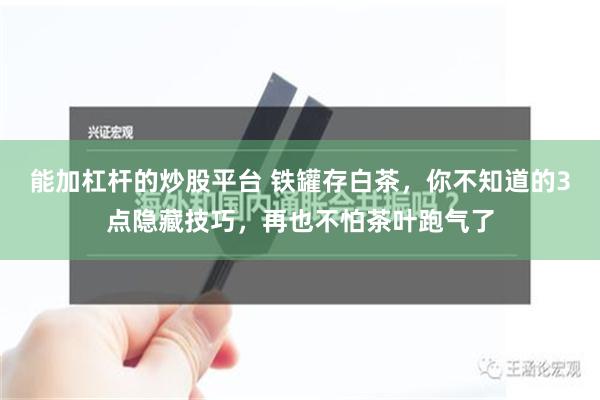 能加杠杆的炒股平台 铁罐存白茶，你不知道的3点隐藏技巧，再也不怕茶叶跑气了