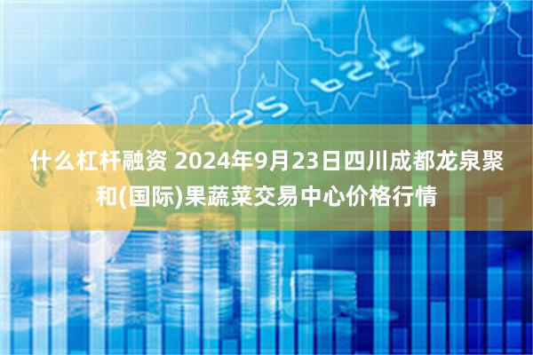 什么杠杆融资 2024年9月23日四川成都龙泉聚和(国际)果蔬菜交易中心价格行情