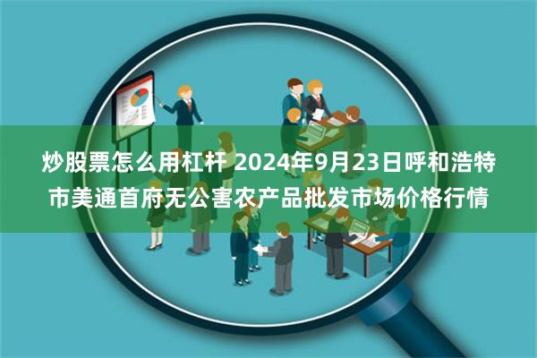 炒股票怎么用杠杆 2024年9月23日呼和浩特市美通首府无公害农产品批发市场价格行情