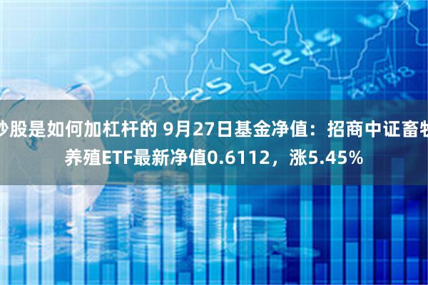 炒股是如何加杠杆的 9月27日基金净值：招商中证畜牧养殖ETF最新净值0.6112，涨5.45%