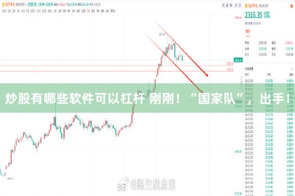 炒股有哪些软件可以杠杆 刚刚！“国家队”，出手！