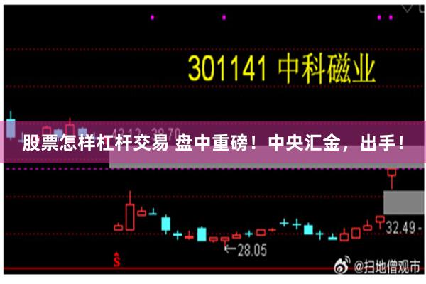 股票怎样杠杆交易 盘中重磅！中央汇金，出手！