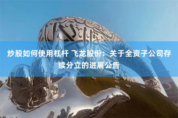 炒股如何使用杠杆 飞龙股份：关于全资子公司存续分立的进展公告