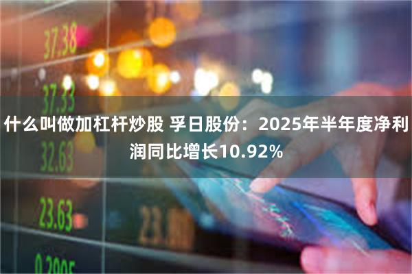 什么叫做加杠杆炒股 孚日股份：2025年半年度净利润同比增长10.92%
